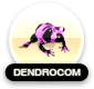 Dendrocom